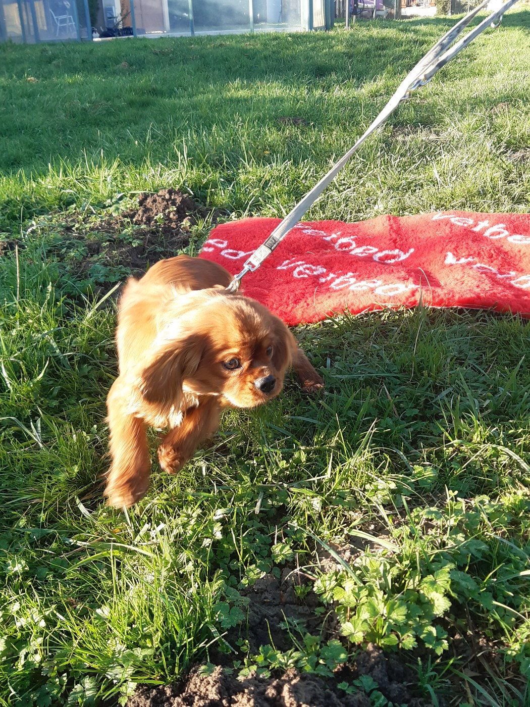 Arthemis Du clos de larpege